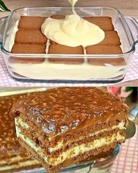 whatsapp image 2026 08 08 at 23.58.36